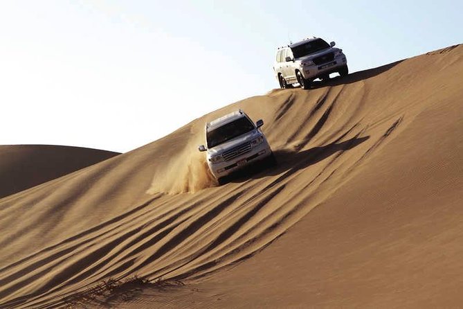 Enjoy Abu Dhabi City Tour and Desert Safari - Exciting Desert Safari Activities