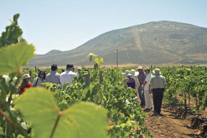ENJOY BAJA California: Wines, Gastronomy and Fun, 5 Days. - Important Information