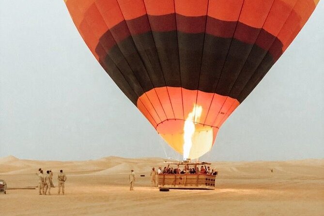 Enjoy Beautiful Views of Dubai Desert With Falcon Show and Camel Ride - Directions