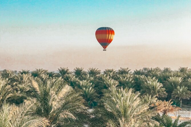 Enjoy Dubai Desert Hot Air Balloon With Falcon Show - Pricing and Value