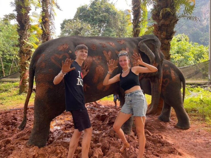 Enjoy Elephant Bathing & Herb With Elephant - Herbal Medicine Preparation