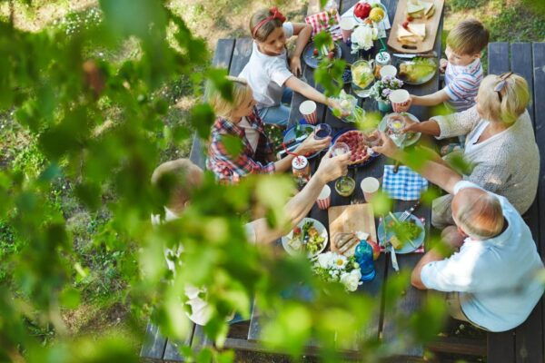 Enjoy Lunch With Pure Products From the Corfu Farm - Extra Virgin Olive Oil Tasting and Culinary Experience