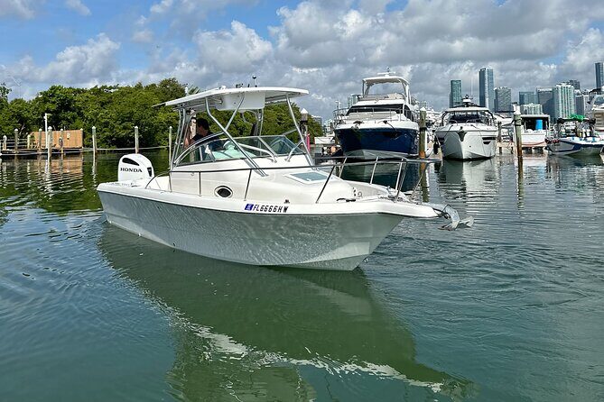 Enjoy Miami aboard our Proline 24ft - Good To Know  