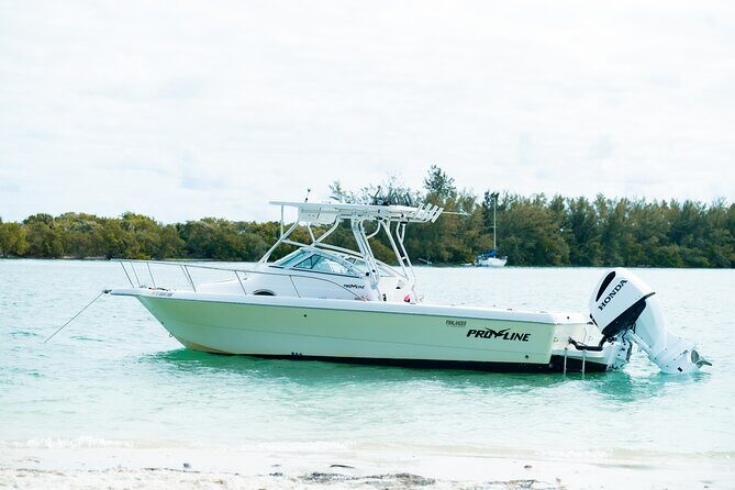 Enjoy Miami aboard our Proline 24ft - Why This Tour Offers Great Value