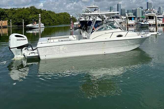 Enjoy Miami aboard our Proline 24ft - The Sum Up