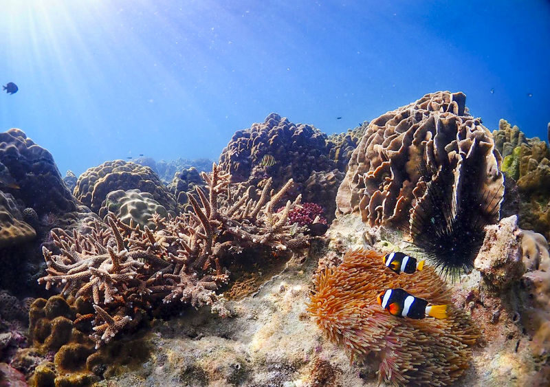 Enjoy Nemo and Pattaya One Day Tour from Bangkok or Pattaya - Lunch before the boat trip