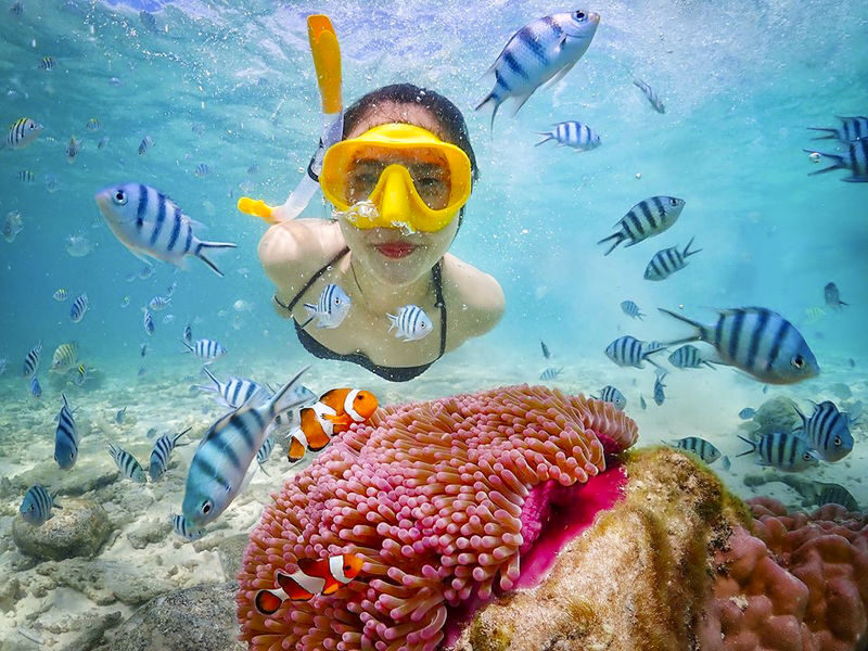 Enjoy Nemo and Pattaya One Day Tour from Bangkok or Pattaya - Nemo Island: the highlight for many