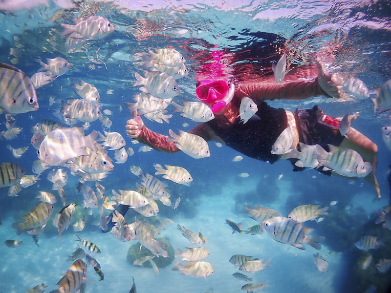 Enjoy Nemo and Pattaya One Day Tour from Bangkok or Pattaya - Pattaya Floating Market: a late visit