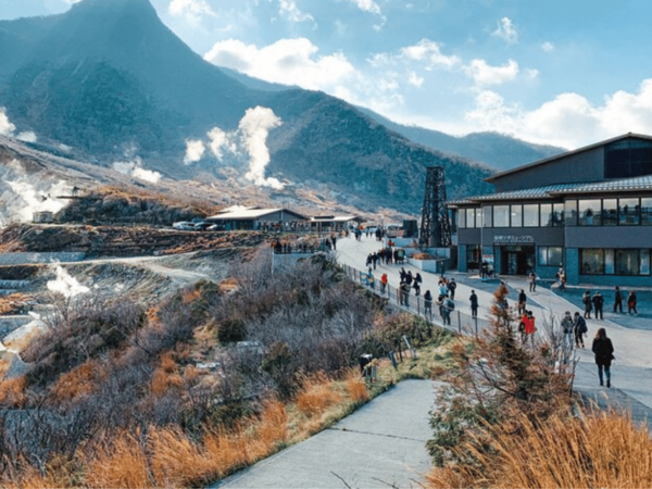 Enjoy Private Chauffeured Tour of Mt. Fuji - What to Expect