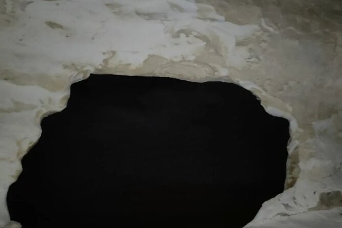 Enjoy Safari the Black and White Desert Two Night 3 Days - Traveler Experience