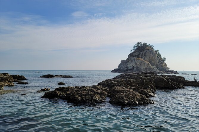 Enjoy Seafood After Walking Along the Coast From Igidae Park to Oryukdo Park. - Enjoying Fresh Catches of the Day