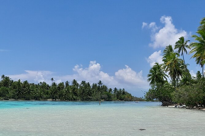 Enjoy Snorkeling With Our Multicolors Fishes in TAHAA FAMOUS CORAL GARDEN - Unforgettable Memories Await