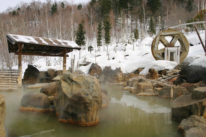Enjoy Snow-Covered Hot Springs With Private Transport - Benefits of Private Transport