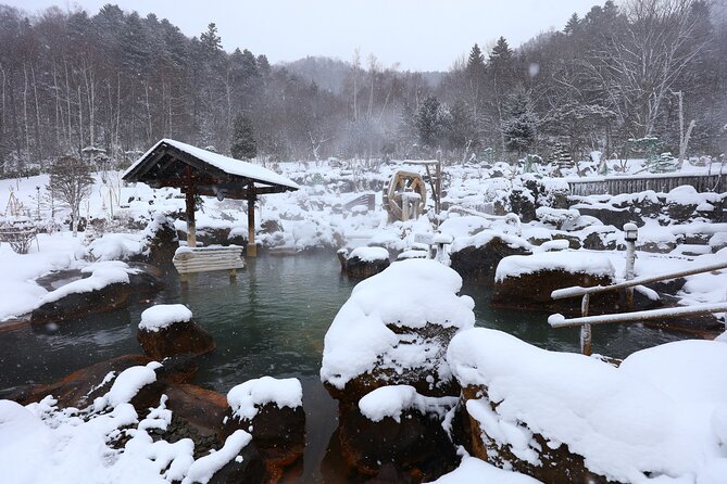 Enjoy Snow-Covered Hot Springs With Private Transport - Booking and Confirmation Process