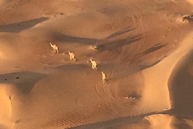 Enjoy Standard Dubai Beautiful Desert By Hot Air Balloon From Dubai - Refueling With a Delicious Arabic Breakfast