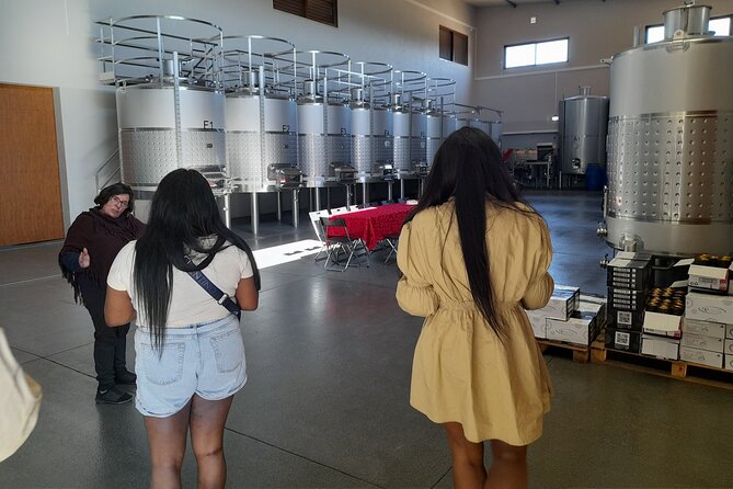 Enjoy The Algarvian Wine Taste & Coast Line Private Van Tour - Inclusions and Exclusions