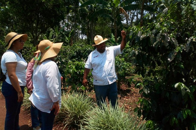 Enjoy the Coffee Route in Coatepec Magical Town - Indulge in Coffee Tastings and Pairings in Coatepec