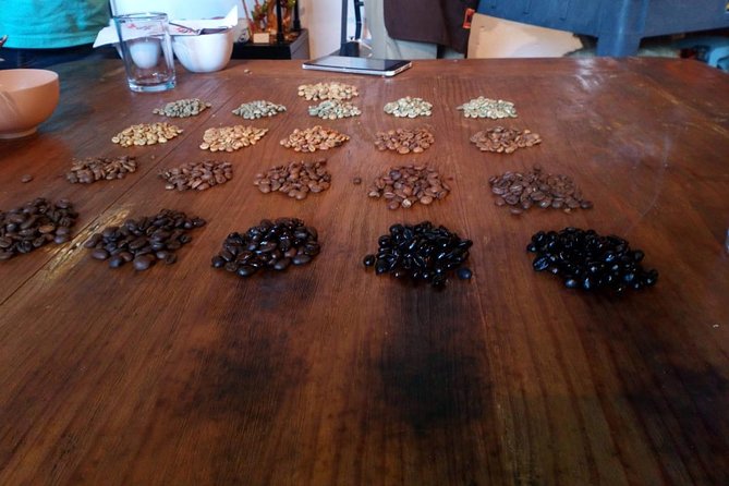 Enjoy the Coffee Route in Coatepec Magical Town - Experience the Rich Coffee Culture of Coatepec
