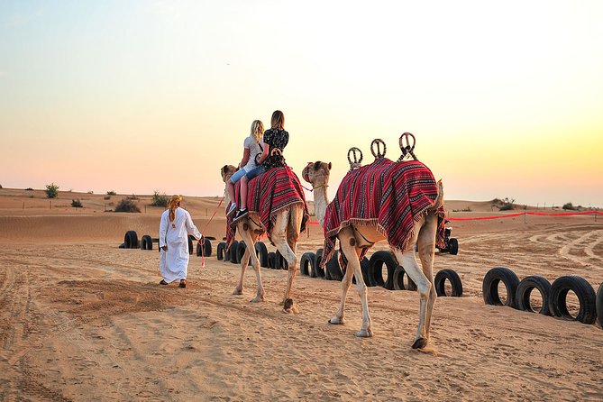 Enjoy the Dubai Fossil Rocks Desert With Sandboarding, Camel Ride,& BBQ Dinner - The Sum Up