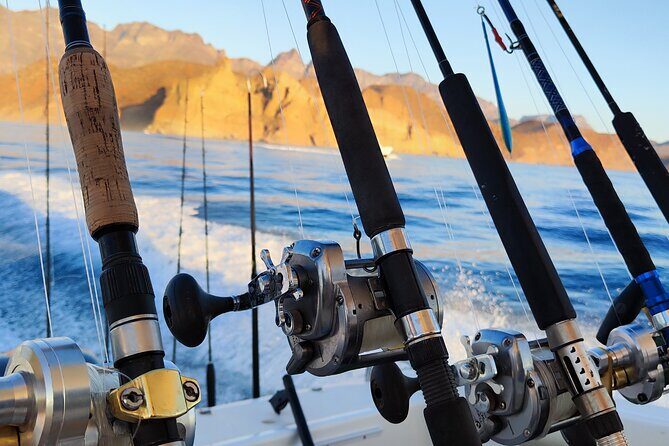 Enjoy the sport fishing paradise in Loreto, BCS - Good To Know