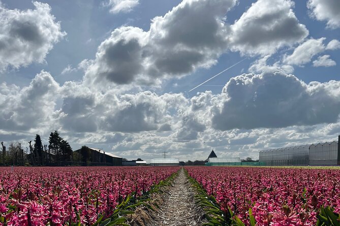 Enjoy the Tulips in a Landrover With a Local Guide - Tour Details