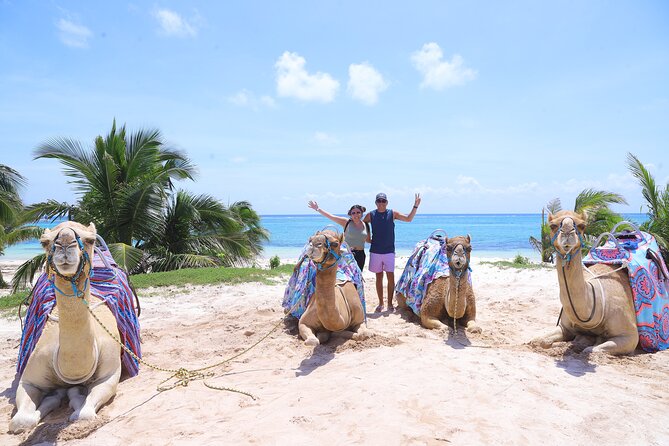 ENJOY UNIQUE CAMEL RIDE in Puerto Morelos With Transportation - Overview of the Unique Camel Ride Experience