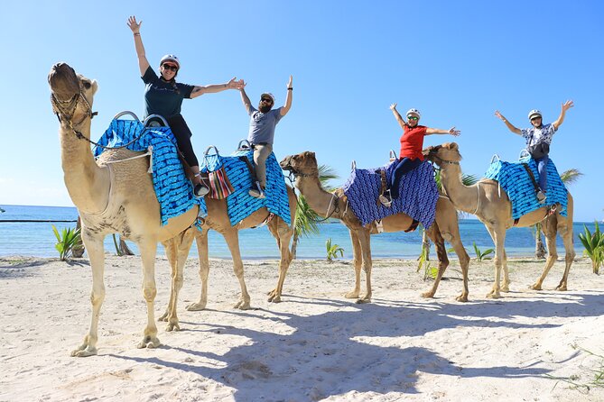 ENJOY UNIQUE CAMEL RIDE in Puerto Morelos With Transportation - Cancellation Policy and Refund Options