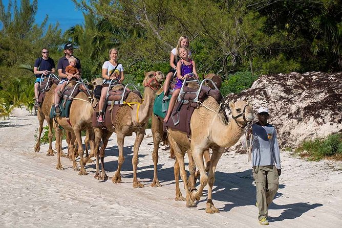 ENJOY UNIQUE CAMEL RIDE in Puerto Morelos With Transportation - Additional Information and Contact Details