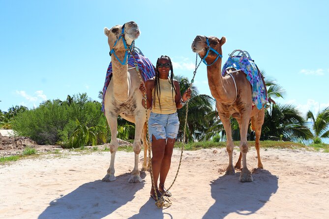 ENJOY UNIQUE CAMEL RIDE in Puerto Morelos With Transportation - Common Questions