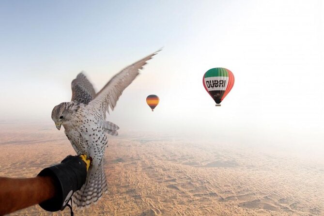 Enjoy Views Of Dubai Beautiful Desert By Hot Air Balloon From Dubai & Falcon - Birds Eye Views Over Desert Dunes