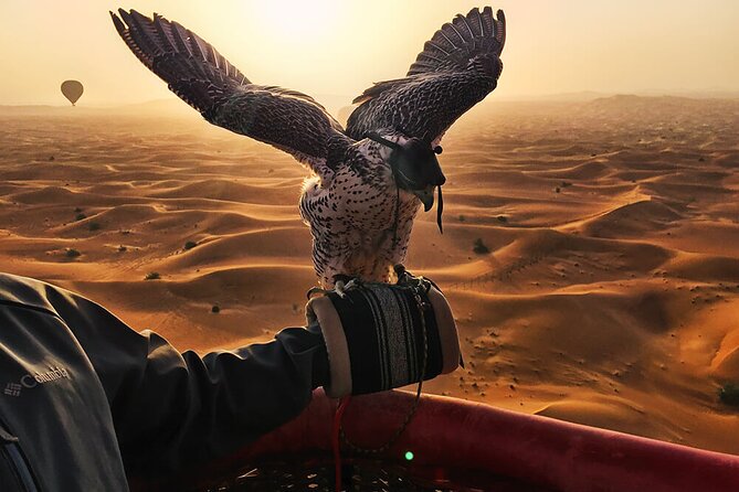 Enjoy Views Of Dubai Beautiful Desert By Hot Air Balloon From Dubai & Falcon - Dubai Desert Conservation Reserve Experience