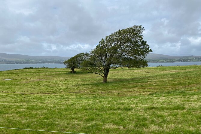 Enjoy West Cork or Ring of Kerry or Cliffs of Moher - Highlights of the Ring of Kerry