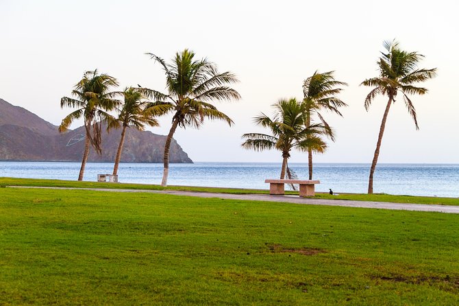 Enjoy Your Weekend With Your Family at Khor Fakkan Beach Fujairah - Beach Activities for Family Fun