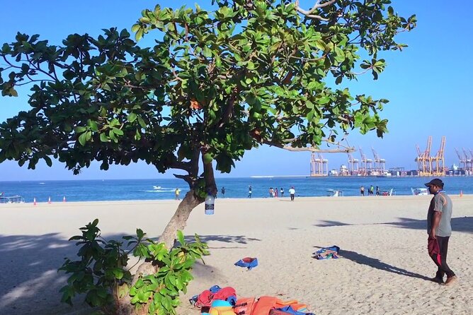 Enjoy Your Weekend With Your Family at Khor Fakkan Beach Fujairah - Exploring the Natural Wonders of Fujairah