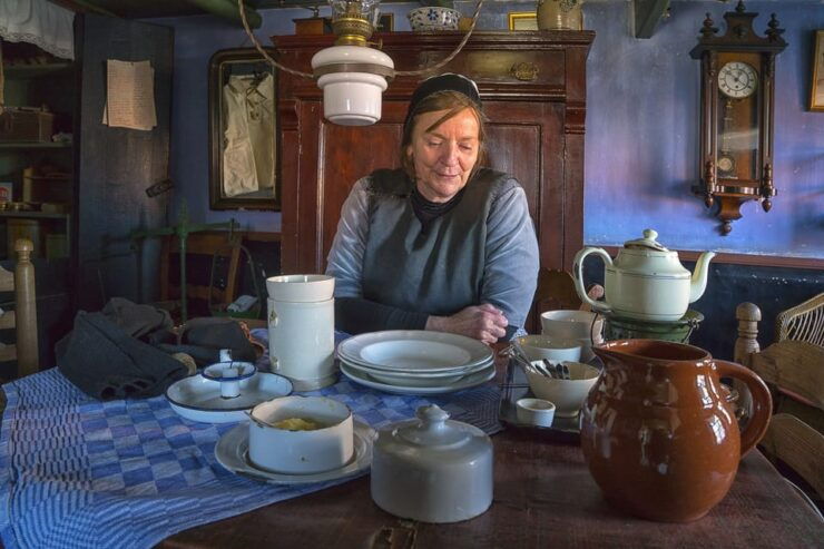 Enkhuizen: Zuiderzee Open Air Museum Entrance Tickets - Museum Experience Highlights