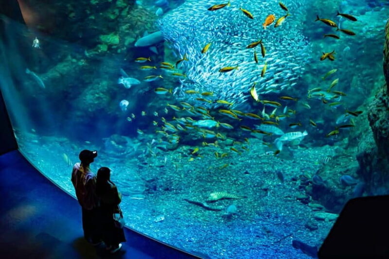 Enoshima Aquarium: Admission Ticket - Good To Know
