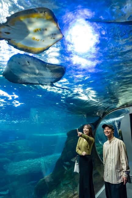 Enoshima Aquarium: Admission Ticket - An Introduction to Enoshima Aquarium