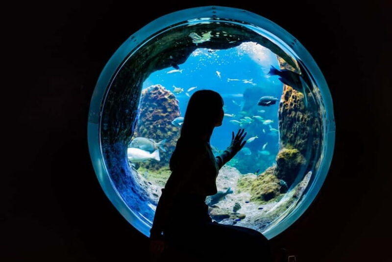 Enoshima Aquarium: Admission Ticket - Practical Details: Visiting and Accessibility
