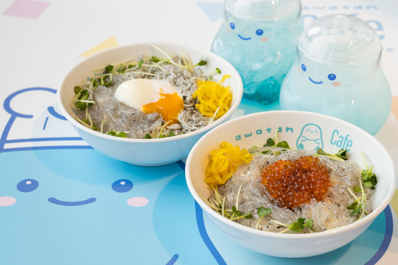 Enoshima Aquarium Ticket in Fujisawa - How long to spend, and when to go