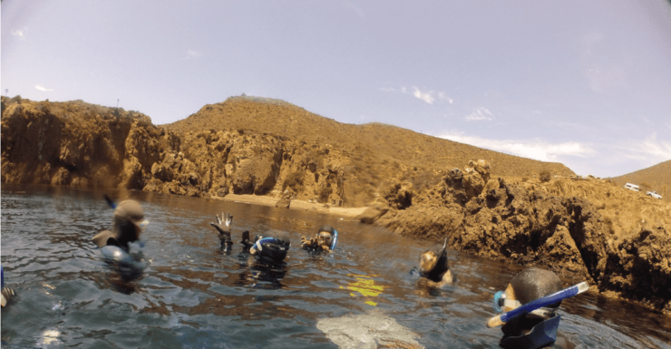 Ensenada: Bahia De Arbolitos Snorkeling Tour With Lunch - Experience Highlights