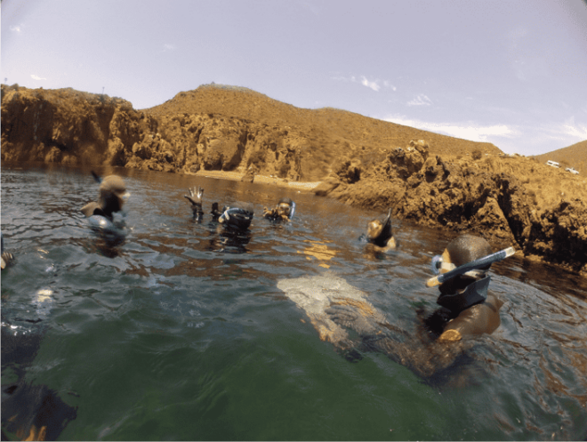 Ensenada: Bahia De Arbolitos Snorkeling Tour With Lunch - Inclusion Details