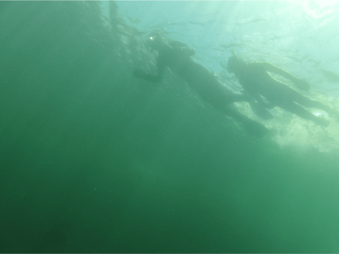 Ensenada: Bahia De Arbolitos Snorkeling Tour With Lunch - Transportation and Pickup