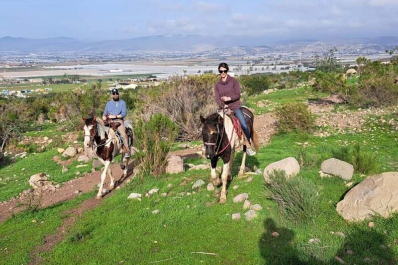 Ensenada: Bajas Hidden Trails: Horseback Ride w/ Ocean View - Good To Know