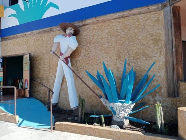 Ensenada: Beach and Bar Experience - Additional Information