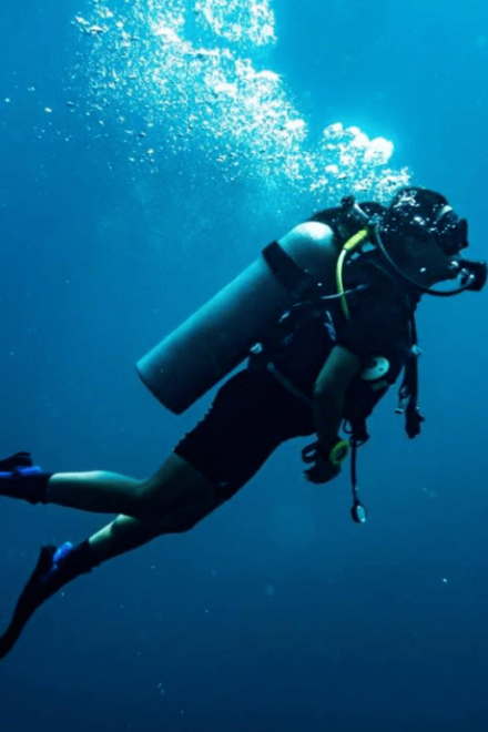 Ensenada: Boat Diving Adventure to Exclusive Sites - Inclusions