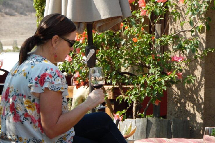 Ensenada: Guadalupe Valley Wine Route Private Tour - Good To Know