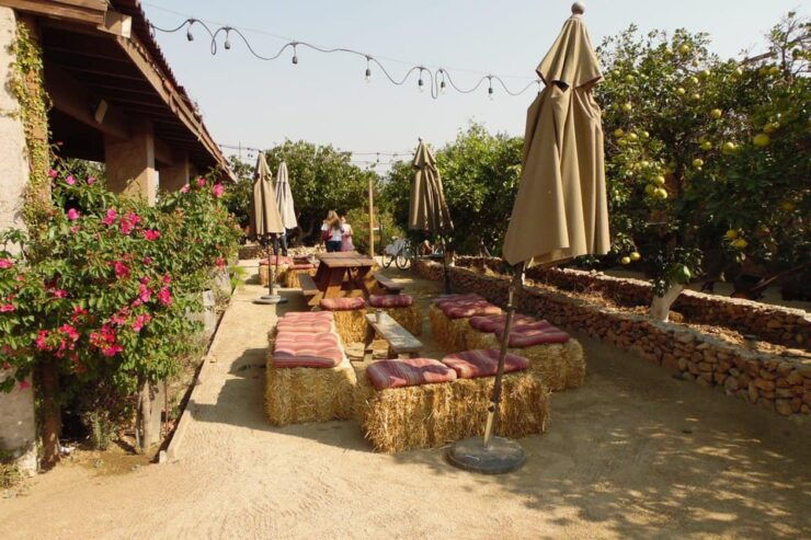 Ensenada: Guadalupe Valley Wine Route Private Tour - Pricing and Booking