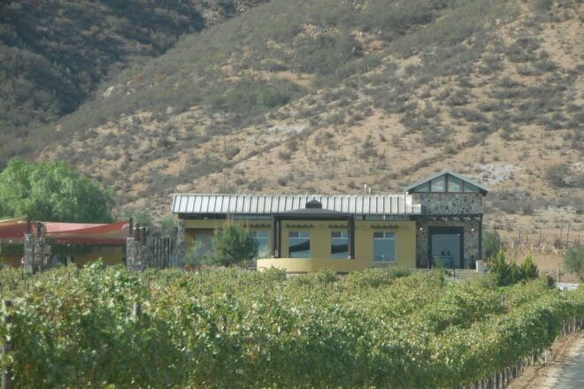 Ensenada: Guadalupe Valley Wine Route Private Tour - Customer Reviews