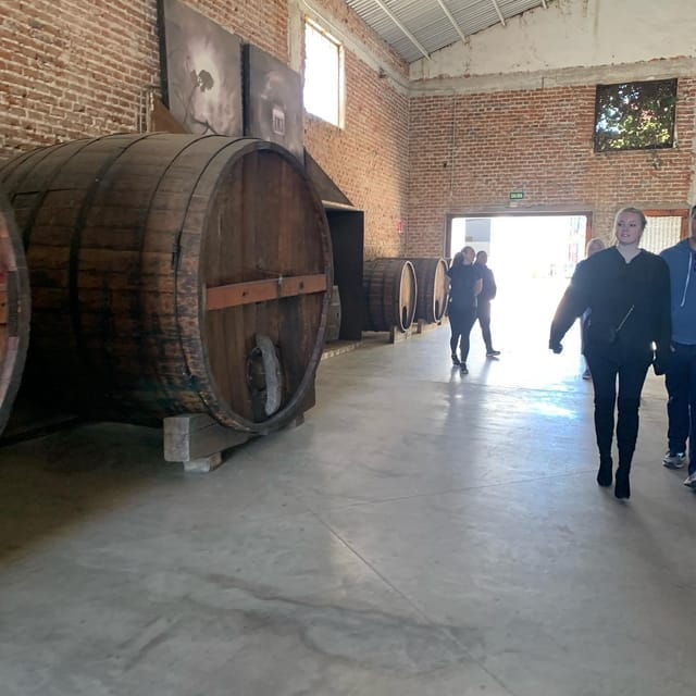 Ensenada: Guided City Highlights Tour With Margarita Tasting - Good To Know