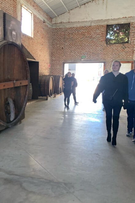 Ensenada: Guided City Highlights Tour With Margarita Tasting - Booking and Cancellation Policy